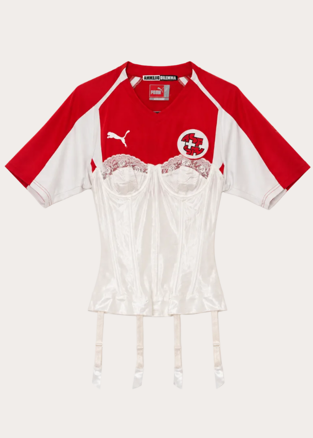 Switzerland Corset Top